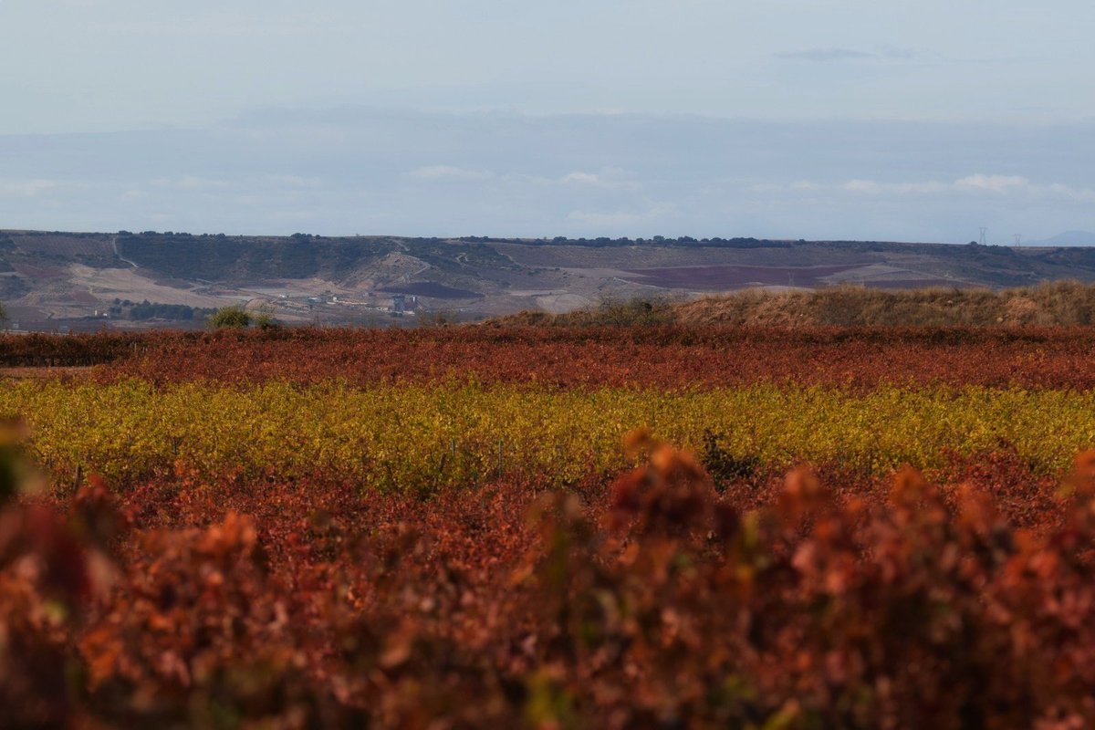 Alejandro Labad tweet media