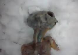 Nobody knows I exist and all my friends died 500,000 years ago and thisis what I look like after I crash land my ship into the fucking ground cause of it. My lifes complicated what elses new. The algorithm hates me how about you. This is what I look like i thought you knew