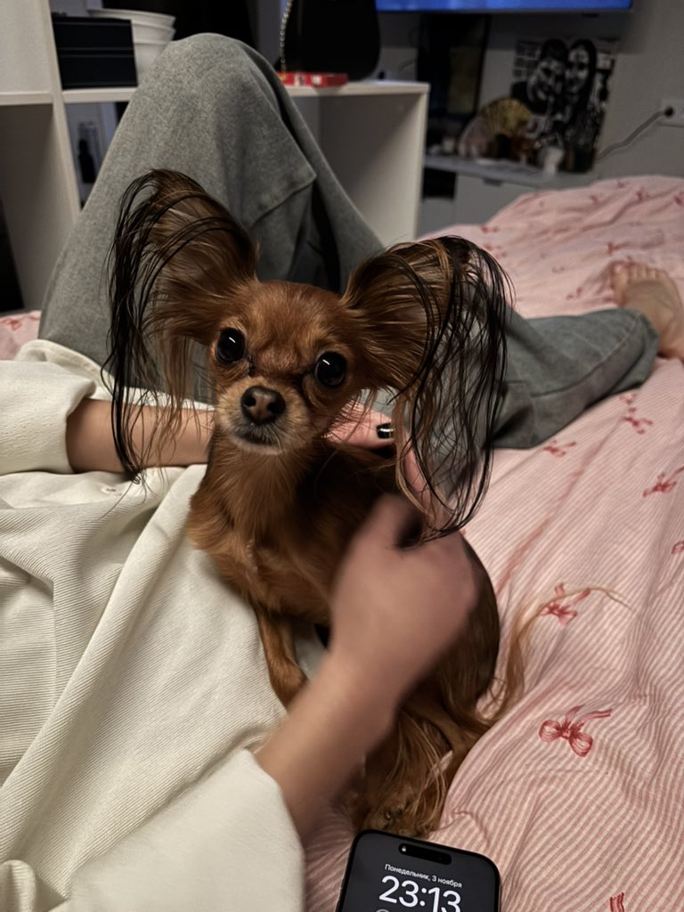 у меня появилась новая подружка