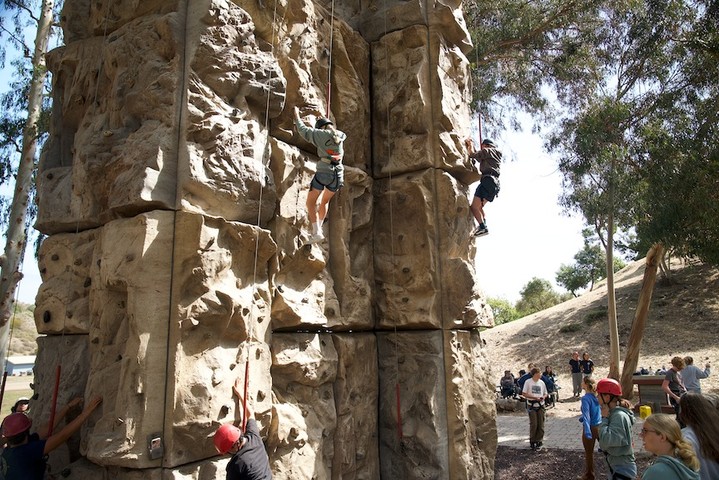 Catalina Island Marine Institute tweet media