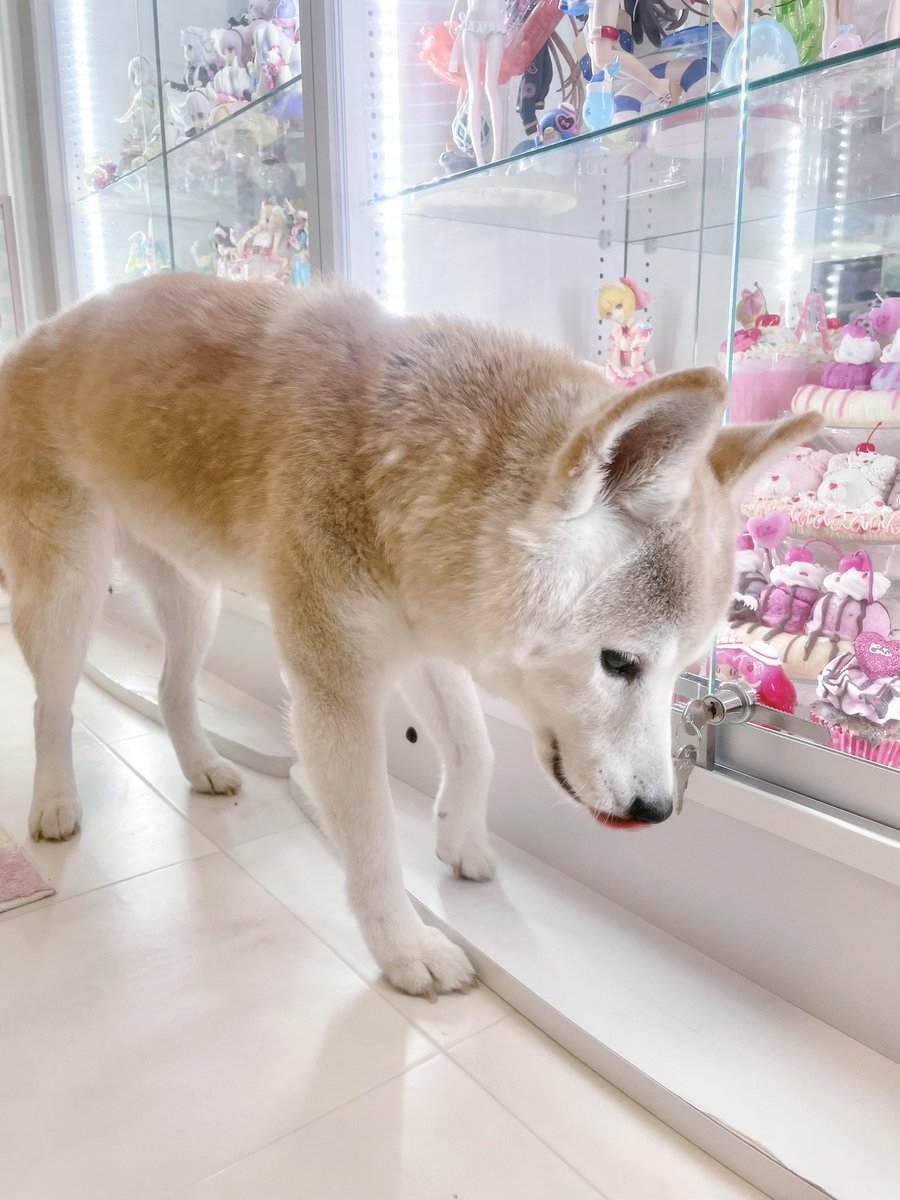 miiiさま確認ページ♡ m (@sakamo1111) / Posts / X