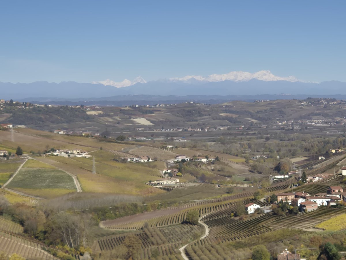 laidbacksommeli's tweet image. #Barbaresco #DOCG #wine #autum
