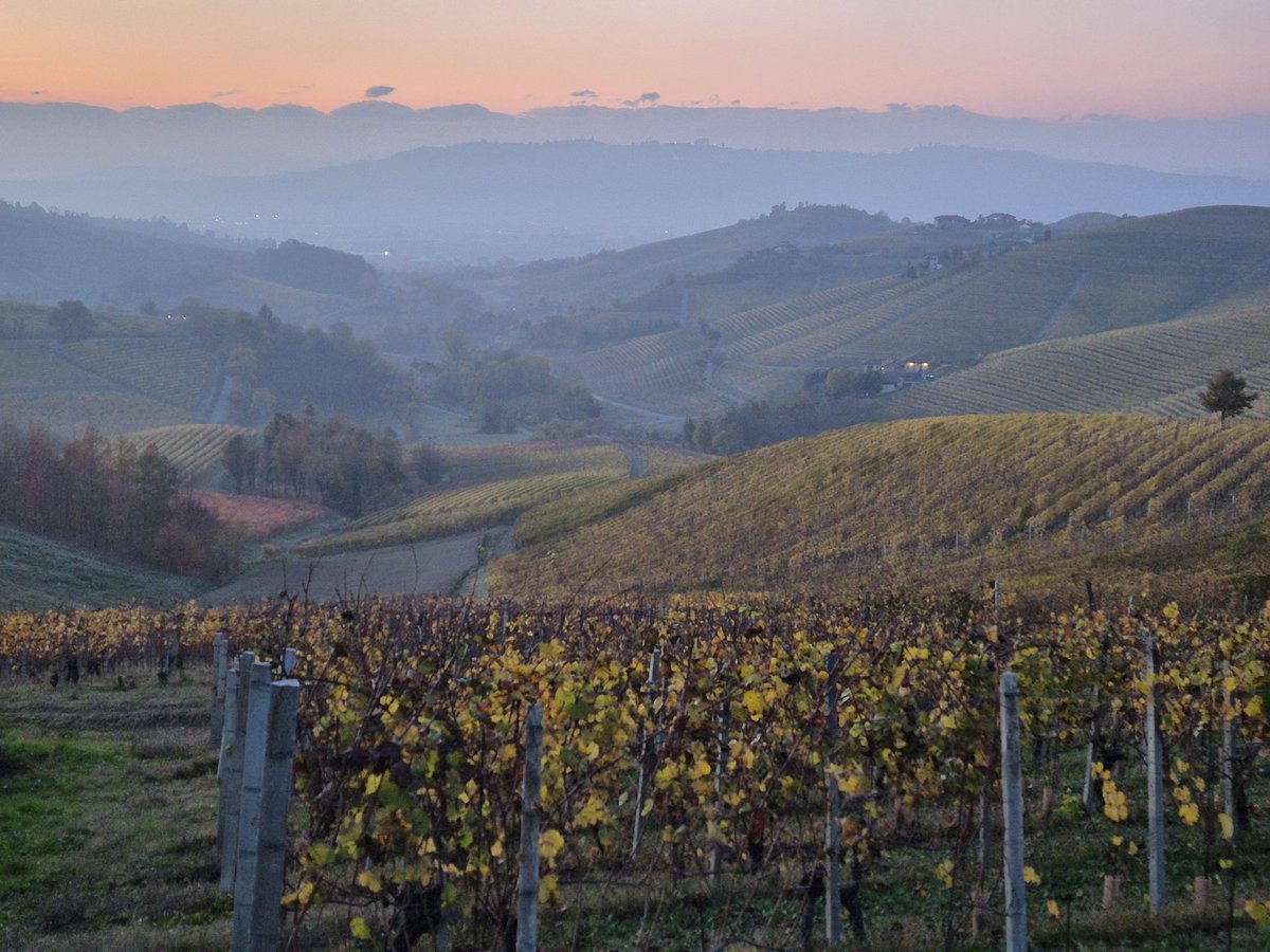 laidbacksommeli's tweet image. #Barbaresco #DOCG #wine #autum