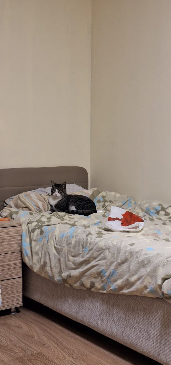 Hele bakın kim gelmiş 😻