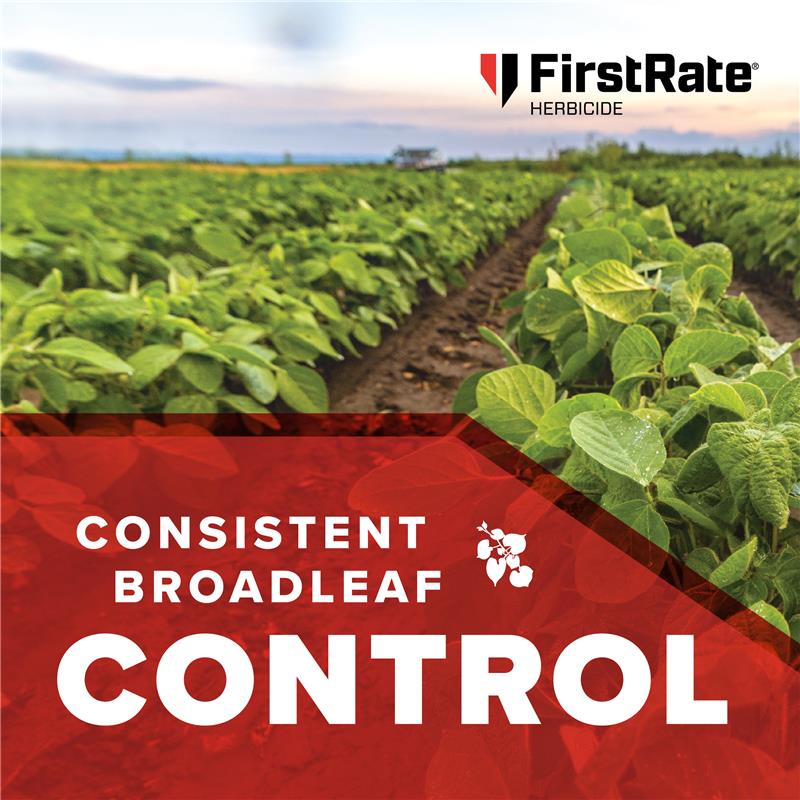 Did you see marestail or morningglory in soybeans this year? FirstRate® Herbicide delivers consistent broadleaf control with flexible tank-mix + application options to fit your program. Protect next season’s yields: amvac.com/products/first…