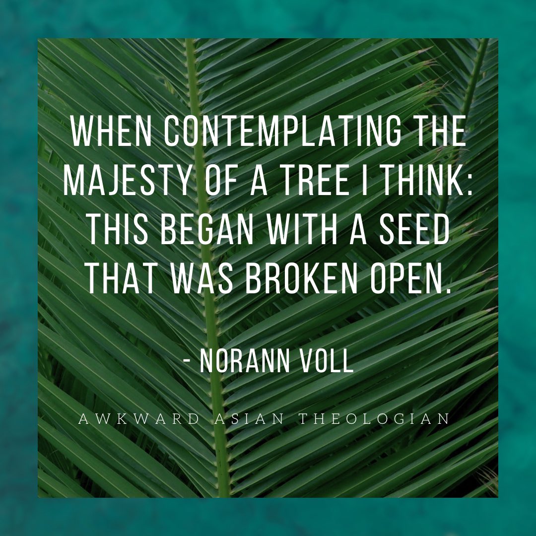 AsianTheologian's tweet image. Stealing a worthy quote from the quoteworthy @NorannV 

#awkwardasiantheologian #christianblogger #theologian #theologians #christian #catholic #bruderhof #quote #tree #seed #god