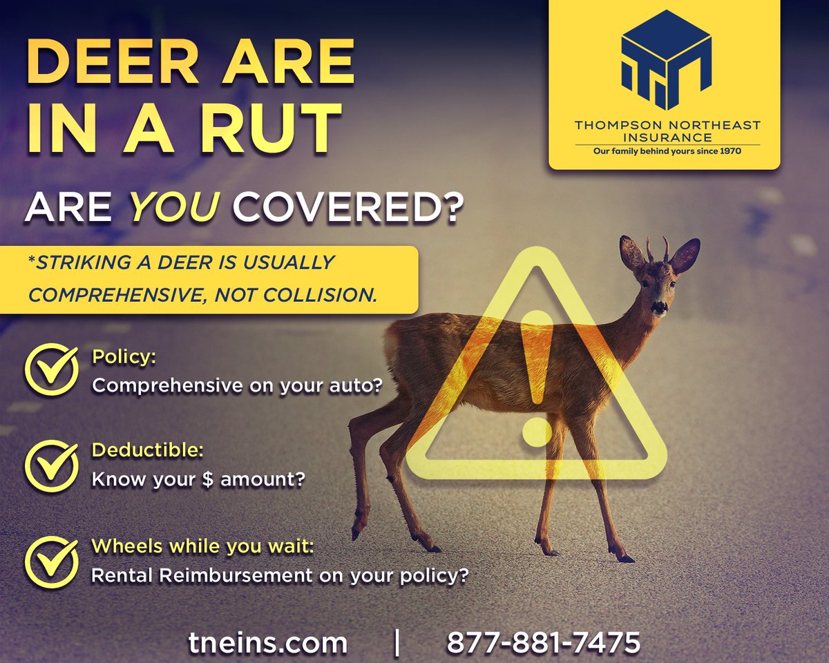 Rut season is ON. 🦌 If a deer finds your bumper, it’s usually Comprehensive (not Collision). Check your deductible + rental now! Repair shops are already seeing a rise in deer-related damages. 
DM or call 877-881-RISK (877-881-7475) for a fast review.