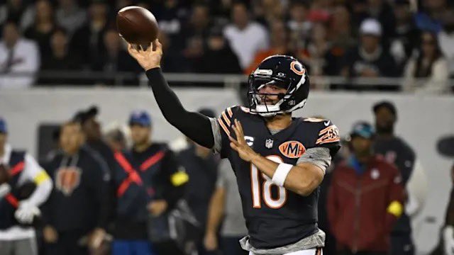 Bears Facts tweet media