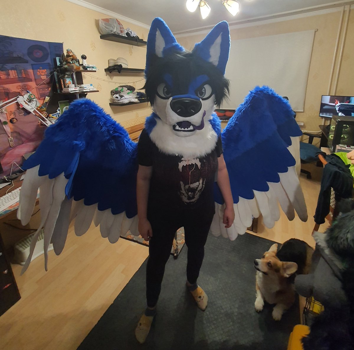 🌓🐺 Wolf Factory 🐺🌗 tweet media