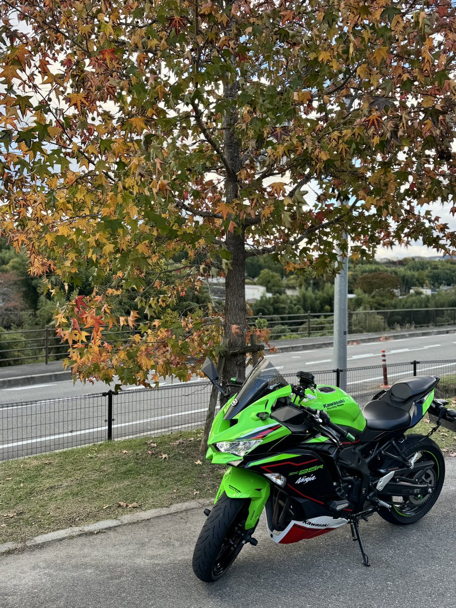 おはようございます☀️

昨日は雨が突然降ってきたり風が強かったりと、出掛けなくて正解でした。
次の休みの日が、良い天気に恵まれますように🙏

今日も良い1日を～🍀.*(*˙˘˙*)ஐ