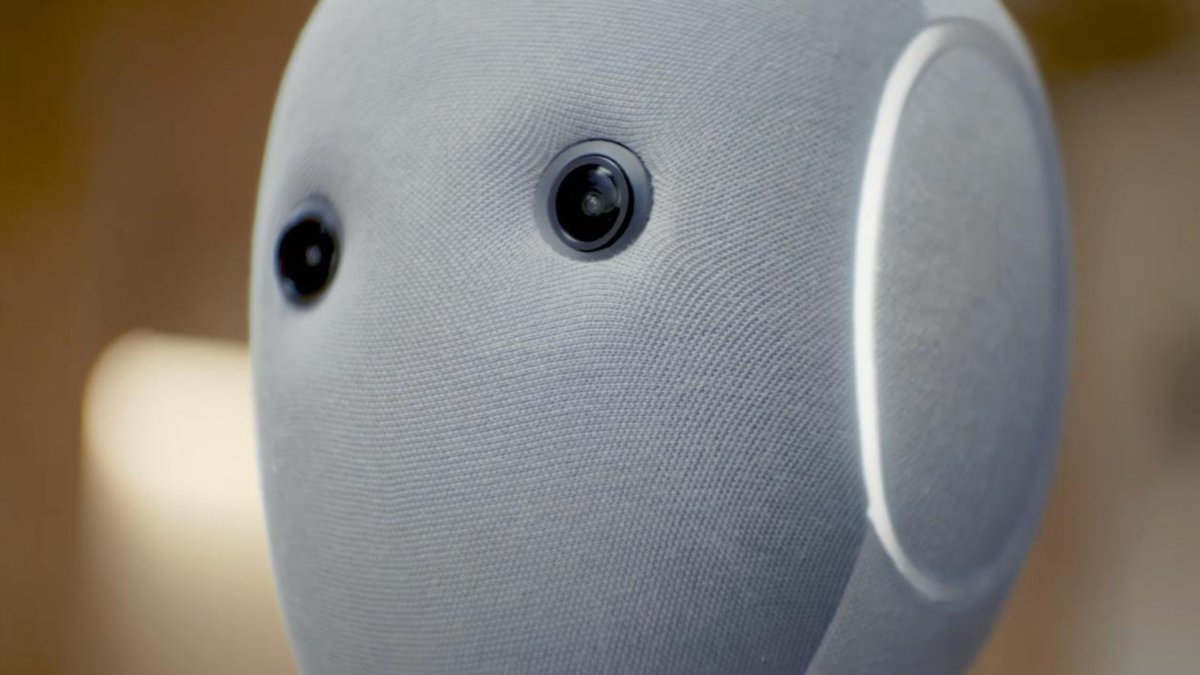 founder: “we’ll just go viral organically”
intern: