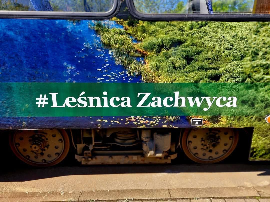 Zachwyca i zachwycać będzie!