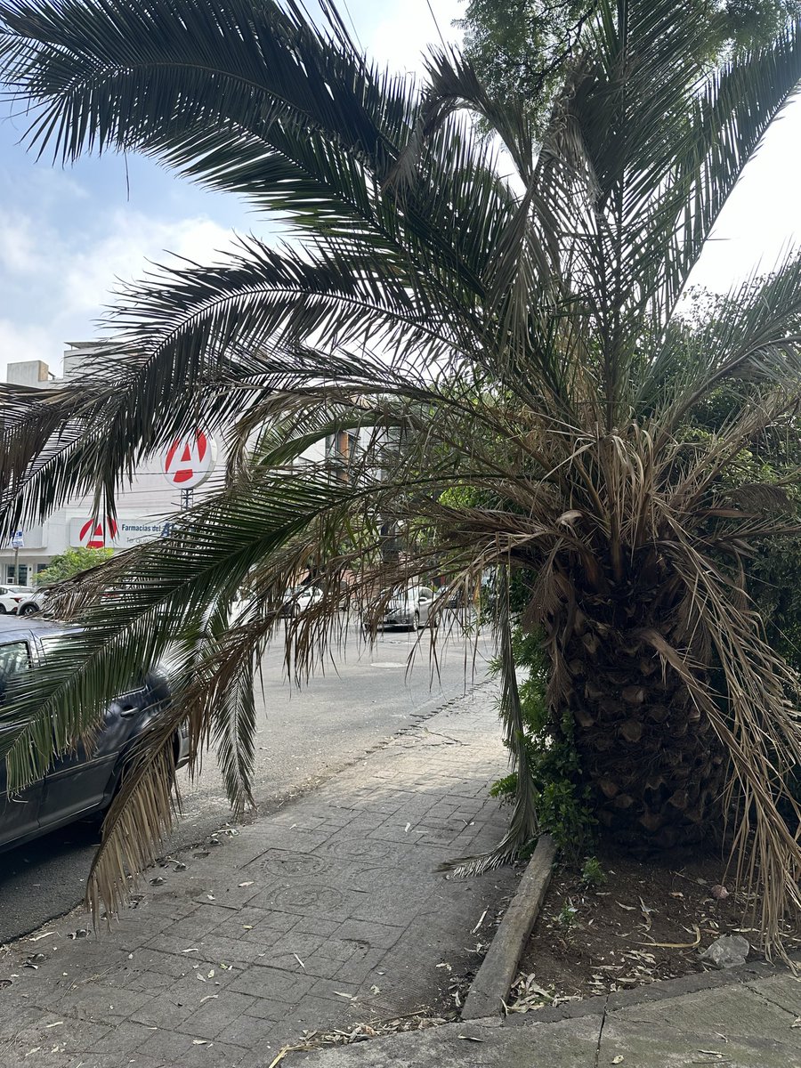 Ciudadana Indignada tweet media