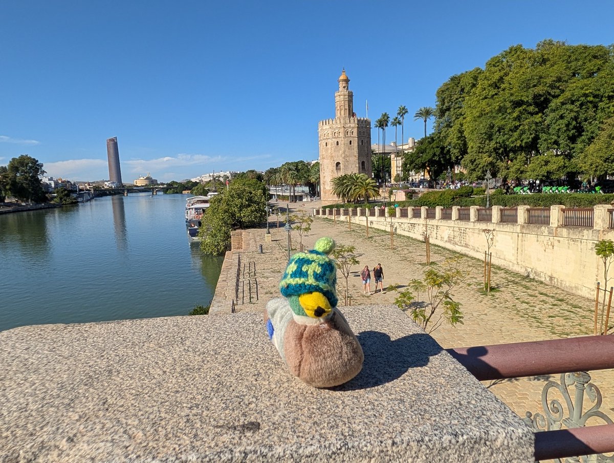 Mr Quacks tweet media