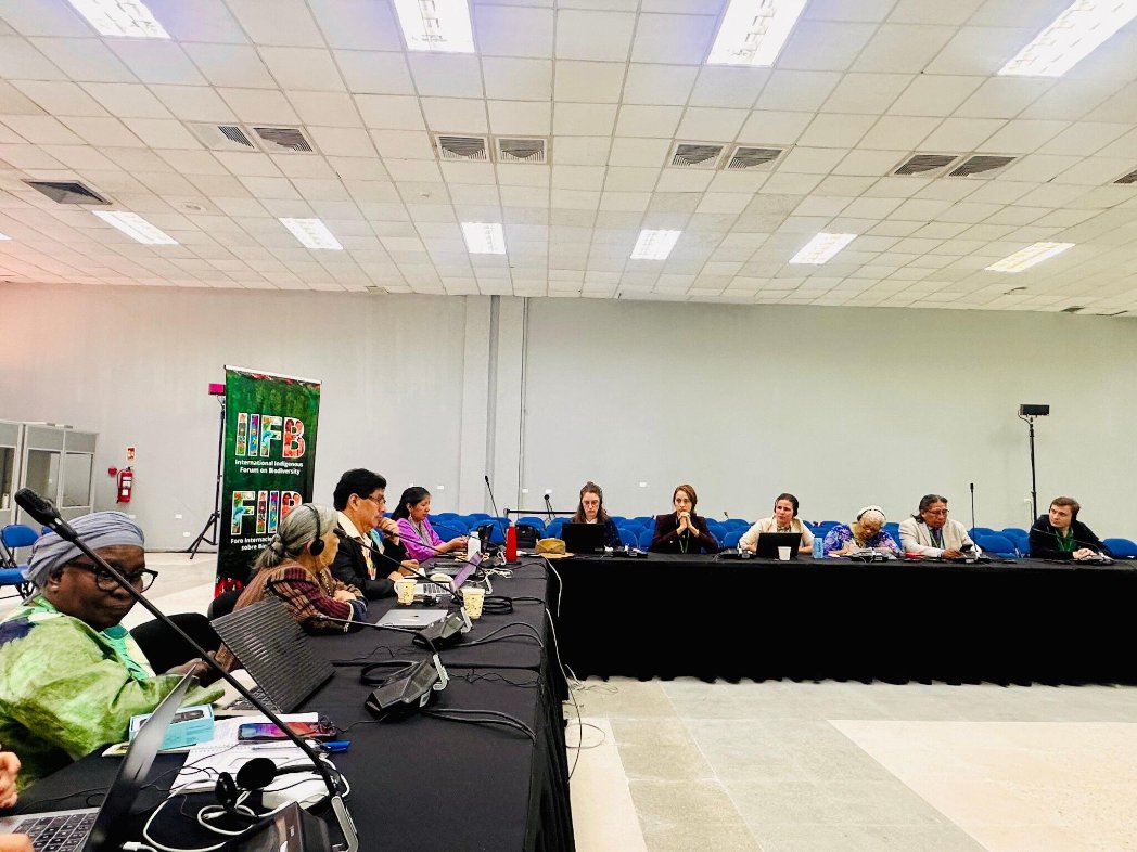 AiwoAfrica's tweet photo. 🌿 Day 3 at #SBSTTA27 – Indigenous Leadership Making Waves!
📅 22 Oct 2025
#IIFB is moving forward with unity & purpose! 🌎
Day 3 was full of action — the IIFB shared Indigenous priorities & perspectives in key contact groups on Agenda Items 3, 5, 6, 7 & 8 🌺
#IIFB #SBSTTA27 https://t.co/nbO3uWFUvx
