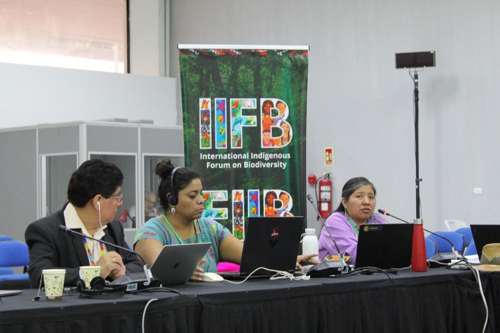 AiwoAfrica's tweet photo. 🌿 Day 3 at #SBSTTA27 – Indigenous Leadership Making Waves!
📅 22 Oct 2025
#IIFB is moving forward with unity & purpose! 🌎
Day 3 was full of action — the IIFB shared Indigenous priorities & perspectives in key contact groups on Agenda Items 3, 5, 6, 7 & 8 🌺
#IIFB #SBSTTA27 https://t.co/nbO3uWFUvx