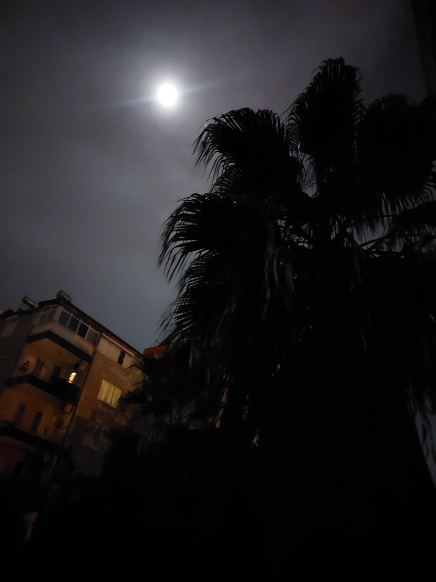 Biz birbirimize bir ders olduk. Sen bana kimseye güvenmemeyi öğrettin, ben ise sana, bir kez giden güzel duyguların asla geri dönmeyeceğini...

#GeceyeBirNot 
#iyigeceler
#Dolunay