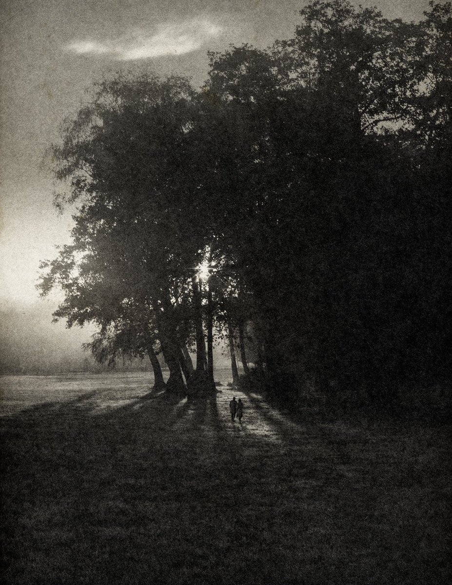 Dona la tua fatica limpida.
Dona la tua dolcezza
la tua confidenza
nella vastità dei tuoi occhi.

Paul Éluard
La Rose publique

#poetry

🖌 L. Makabresku