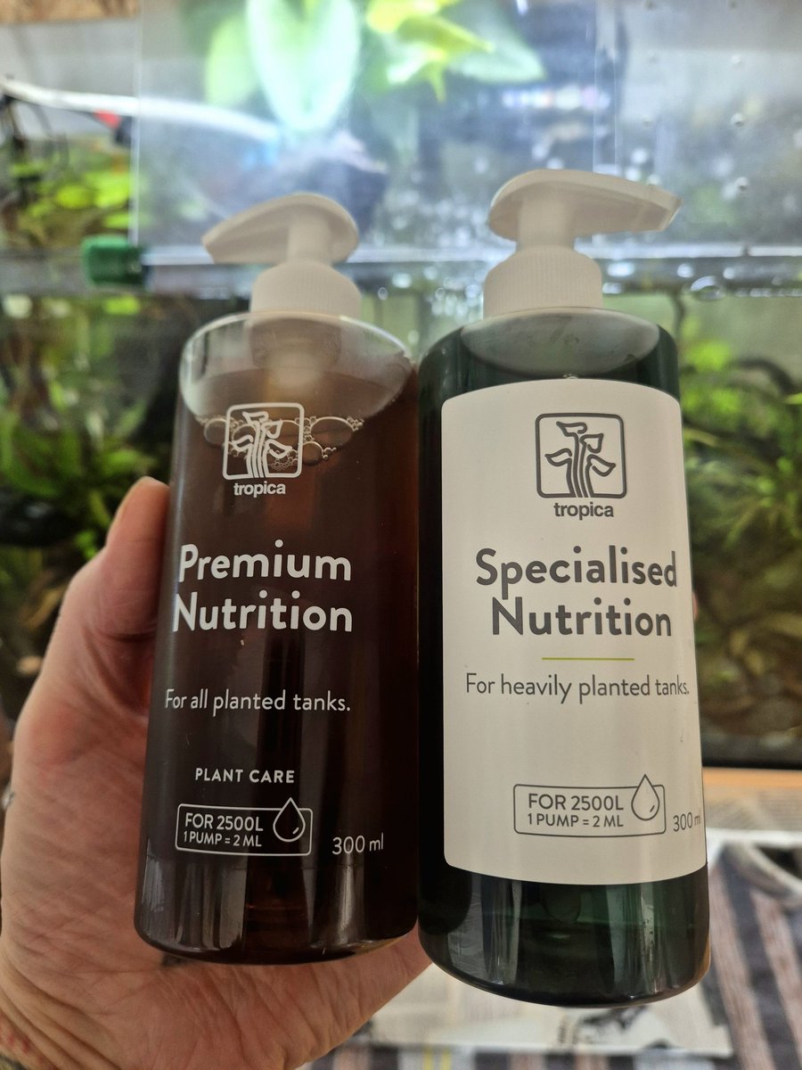 TIMECODE_CC0078's tweet photo. ✨️I have the power in my hands✨️
😂✨️👌
#wild_roots_aquascapes #tropica #dennerle #aquarium #aquascaping #freshwatertank https://t.co/I9HDuJwlqy