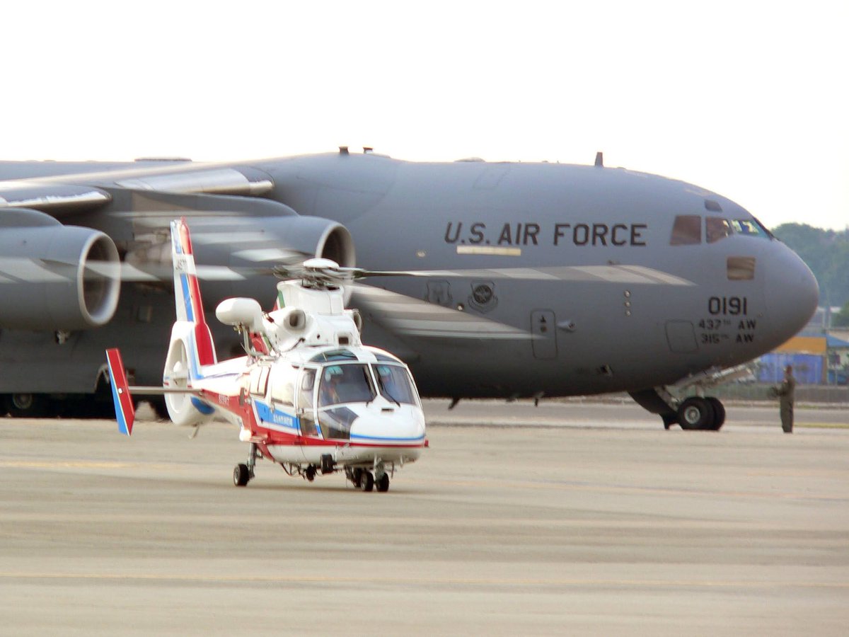 #ドーファンを愛でる会