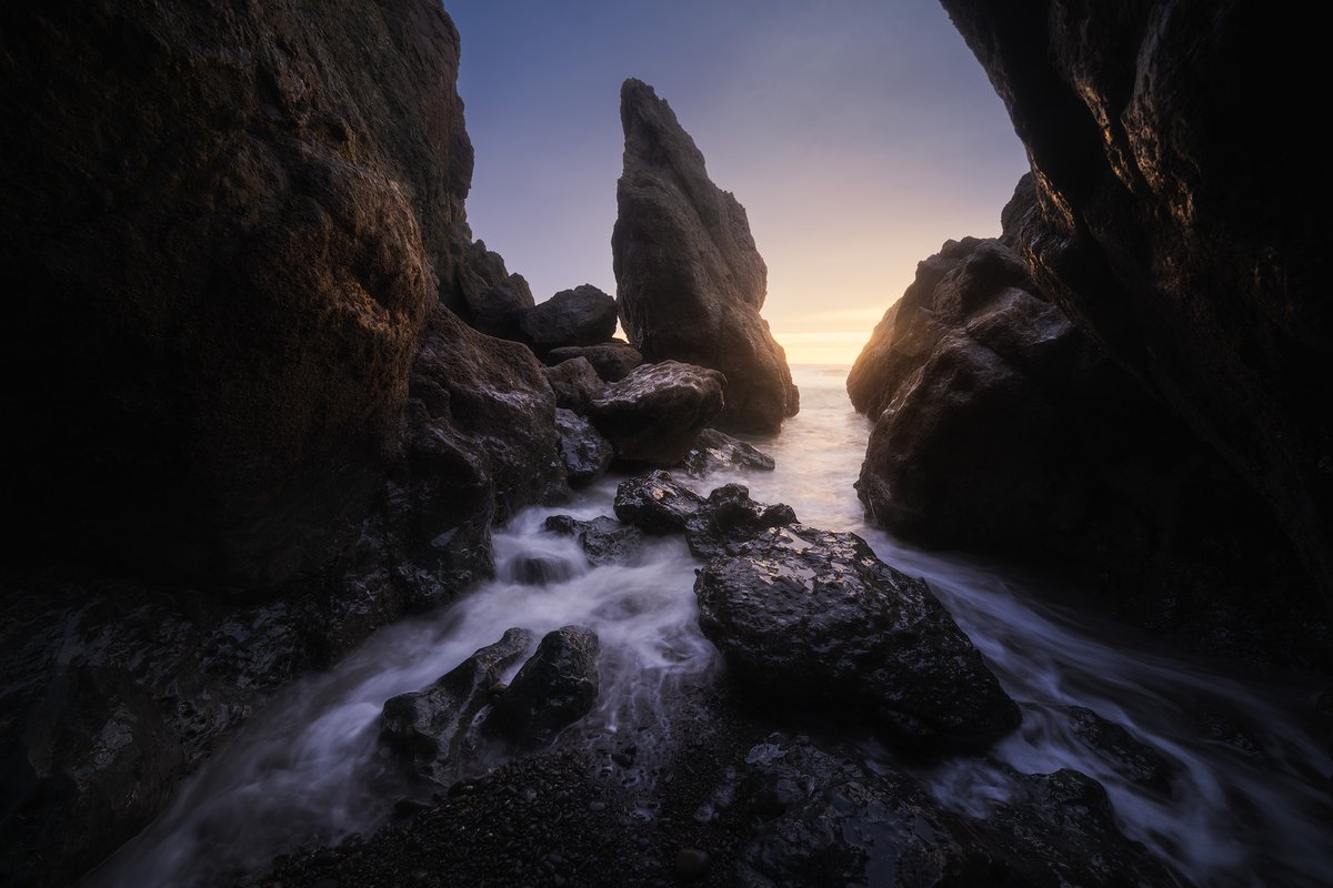 Michael Shainblum tweet media