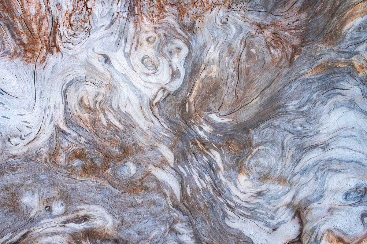 Michael Shainblum tweet media