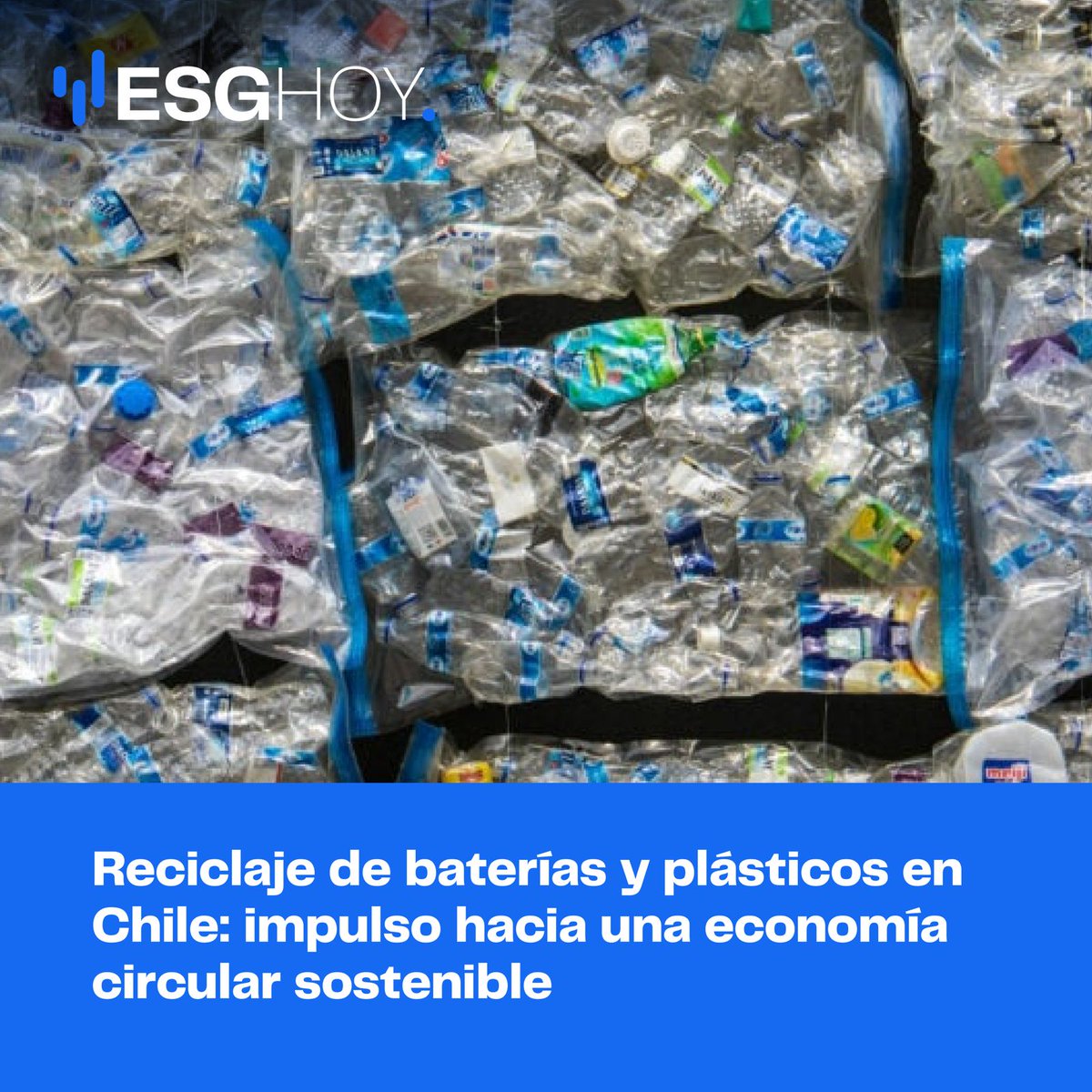 ESGHOY. tweet media