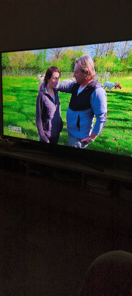 Bon on va aller chercher les alpagas ,c'est à leur tour de regarder #adp2025 #adp25