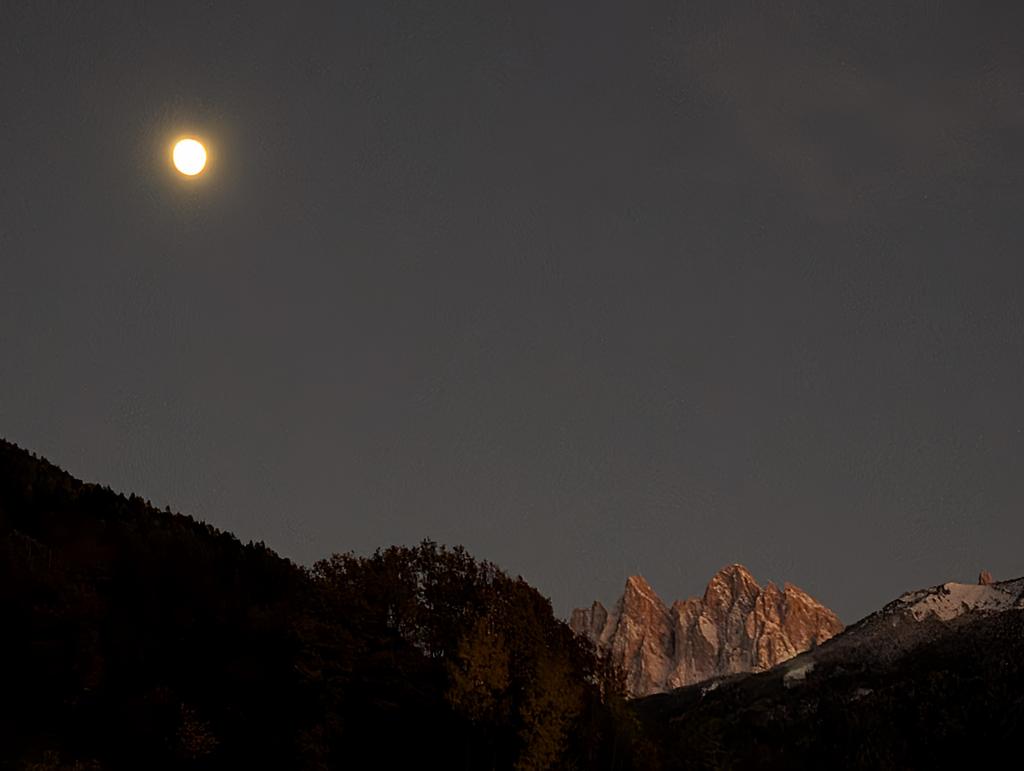 dfsc_10's tweet image. they&apos;re talking to each other