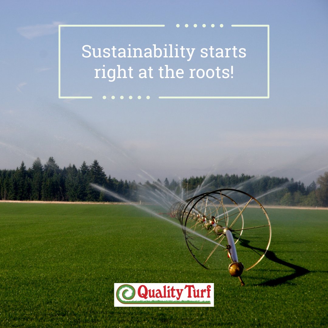 That’s why we grow all our sod using recycled water – a choice that helps protect our environment. 💧🌎🍃

At Quality Turf, our grass doesn’t just beautify your space; it also supports a cleaner, greener Southern California. 💚

📞 951-654-7721 

#EcoFriendlyLawn #QualityTurf