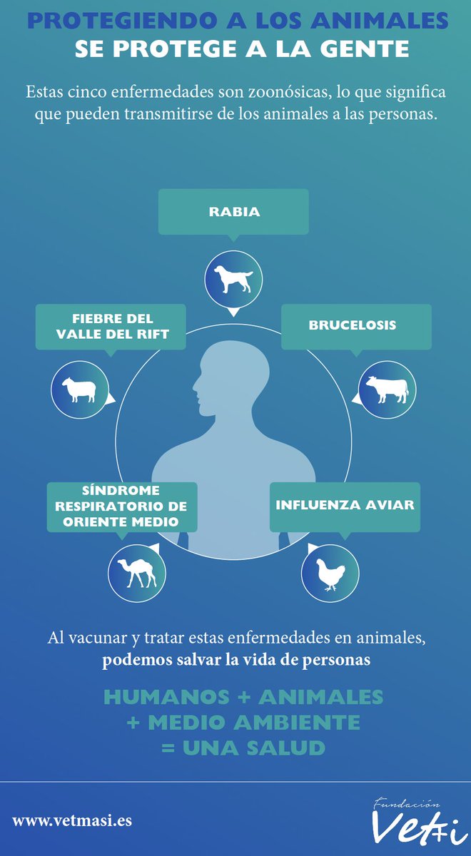 🌍 Hoy es el Día Mundial #OneHealth junto con la <a href="/Plat_OneHealth/">Plataforma One Health</a>  de la que formamos parte, recordando que la salud humana, la sanidad animal y el medioambiente están ligados. La unión impulsa, la colaboración transforma🤝#DiaMundialOneHealth #SaludPública #POHUniónquetransforma