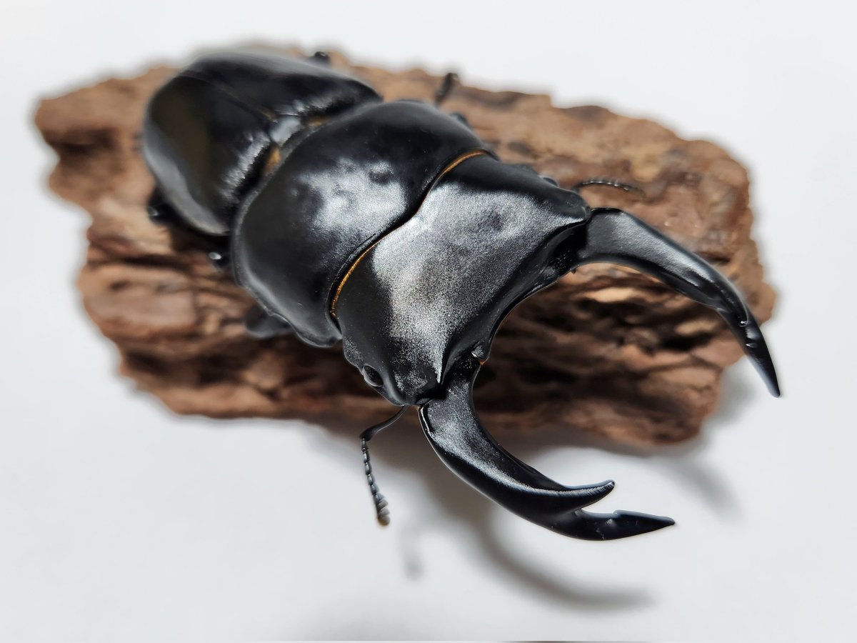 Qoo(*´꒳`*) ＋ねずみ 根付【丸ねずみ】完成しました 只今、ヤフーオークション出品中