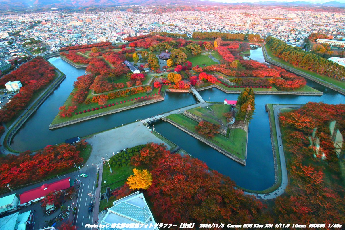 Shyokunin_k's tweet image. 「秋色の星、五稜郭 ─ 函館の紅葉が彩る季節」

皆さんどうも
本日の函館風景写真は📸🍁🍂🍃😁✌️
撮影日2025年11月3日、
秋晴れの空の下、函館・五稜郭公園を歩いてきました。
昼から夕方にかけて、穏やかな風とともに色づいた木々がまるで五稜の星そのものを包み込むように輝いていました🍂…