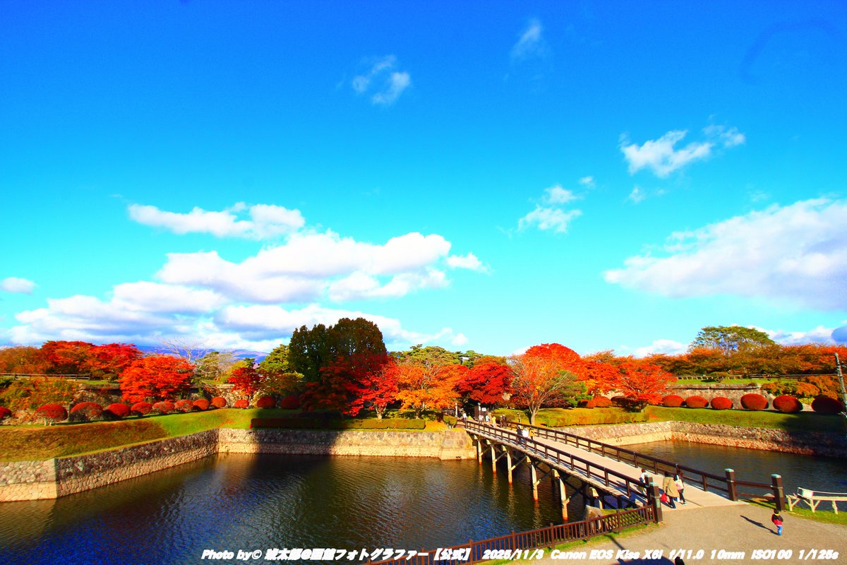 Shyokunin_k's tweet image. 「秋色の星、五稜郭 ─ 函館の紅葉が彩る季節」

皆さんどうも
本日の函館風景写真は📸🍁🍂🍃😁✌️
撮影日2025年11月3日、
秋晴れの空の下、函館・五稜郭公園を歩いてきました。
昼から夕方にかけて、穏やかな風とともに色づいた木々がまるで五稜の星そのものを包み込むように輝いていました🍂…