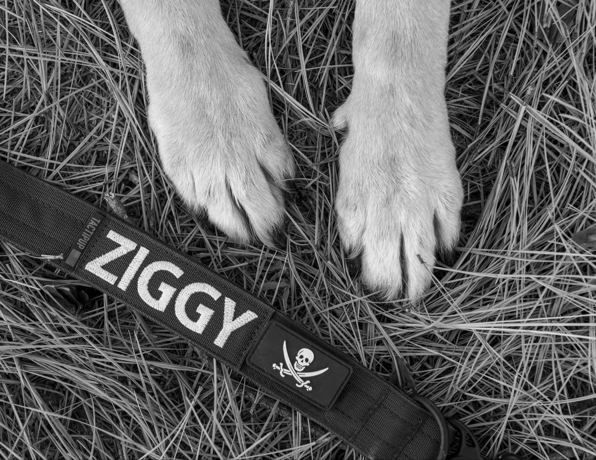 Kate Harbert tweet media