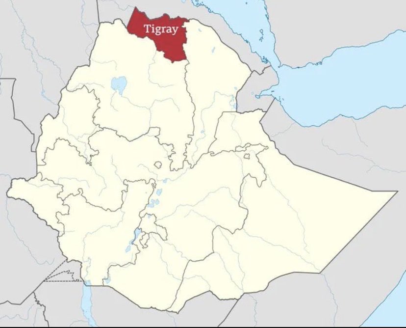AMHARA FANO tweet media