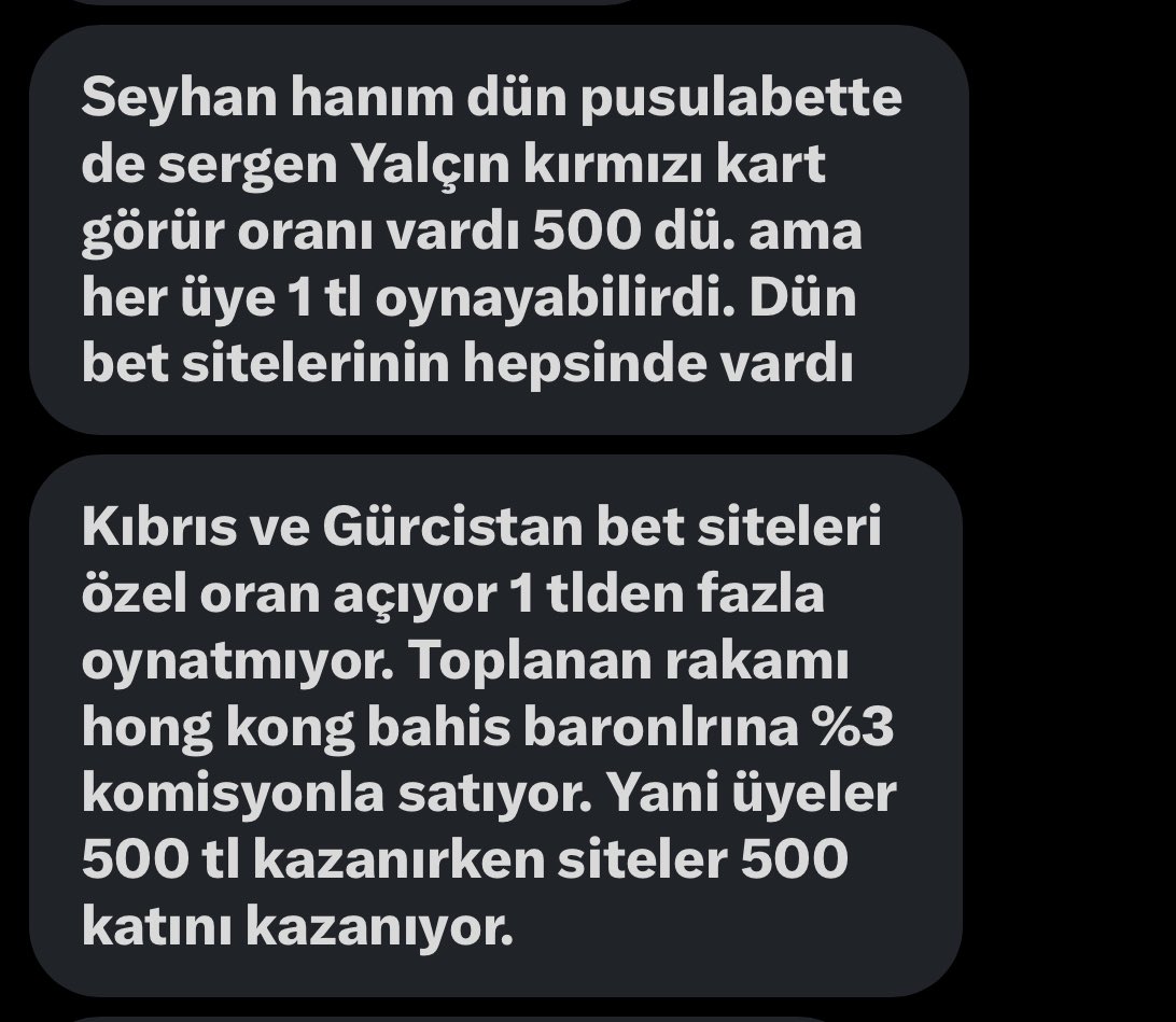Seyhan Avşar tweet media