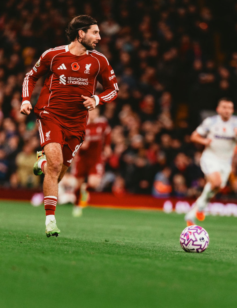 Sean O’Connor tweet media