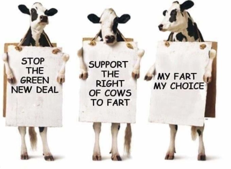 Nieuw onderzoek van de Universiteit van Nebraska suggereert dat vee misschien veel minder bijdraagt aan klimaatverandering dan vaak wordt beweerd. Volgens de onderzoekers is het verhaal over koeien en methaan misleidend: men keek alleen naar de uitstoot, niet naar de opvang.