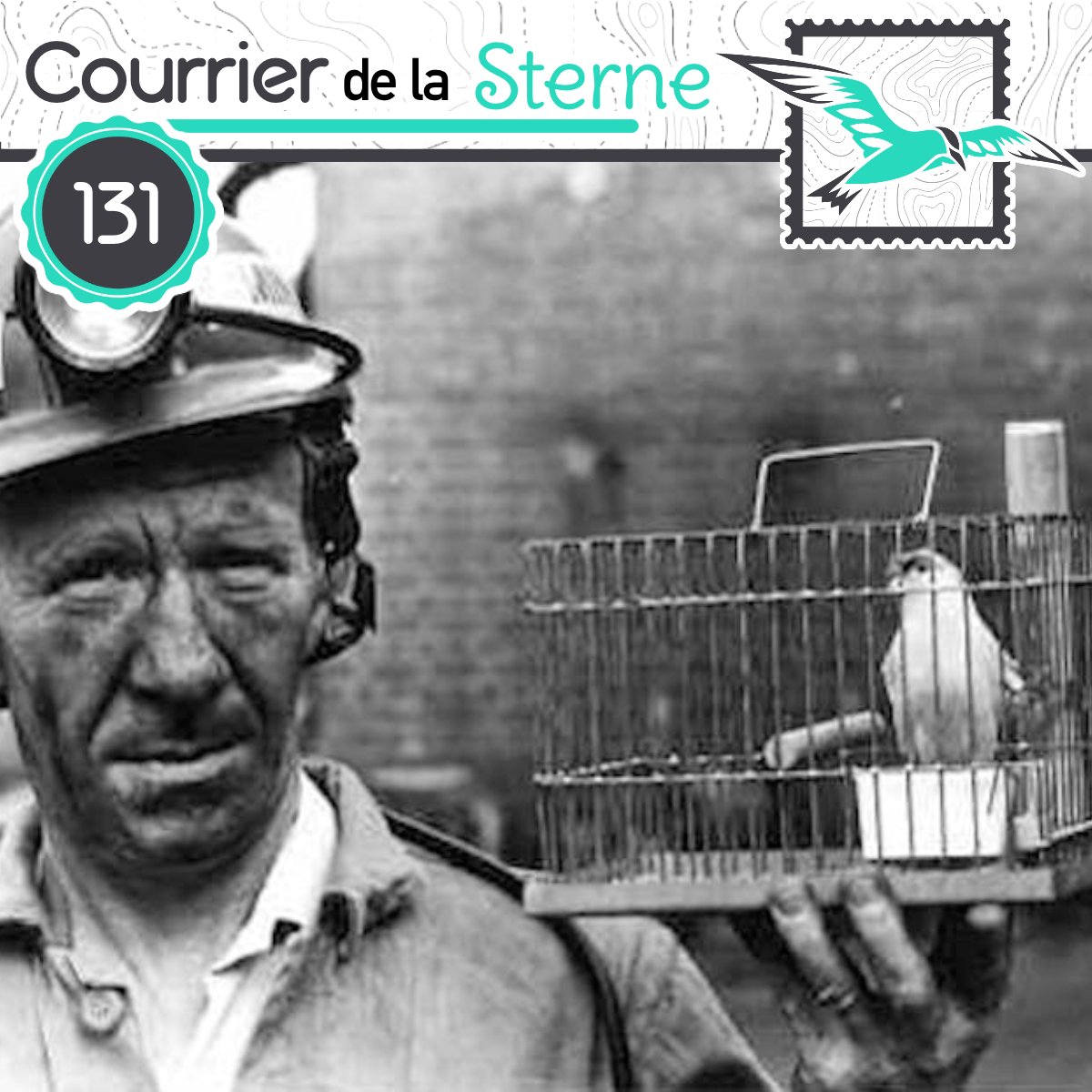 podCDLS's tweet image. On embarque sous terre pour ce nouvel épisode du podcast 100% oiseaux, où l'on vous dit tout ce qu'il y a à savoir sur les Canaris dans les mines ! 

Merci de vos partages ! 

youtu.be/ElyivACysWY

podcastaddict.com/episode/https%…