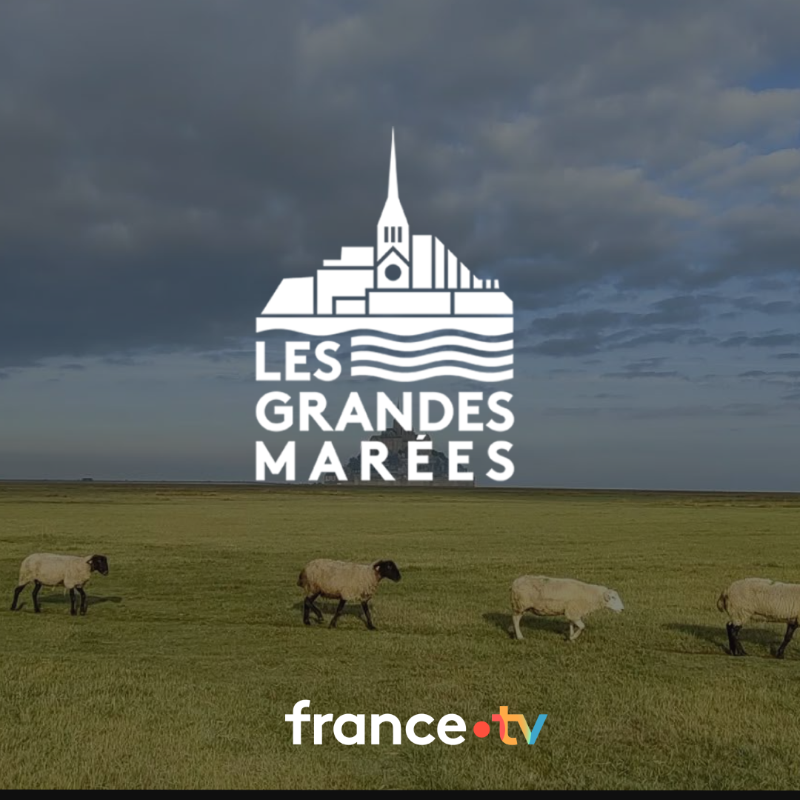 Francetele's tweet photo. 🌊 Vivre en direct au rythme des grandes marées ?

C’est possible avec notre nouvelle expérience immersive de “Slow TV” pour observer pendant une semaine les grandes marées du Mont Saint-Michel.

📲 À découvrir 24h/24 sur @FranceTV, @f3normandie et @france3Bretagne