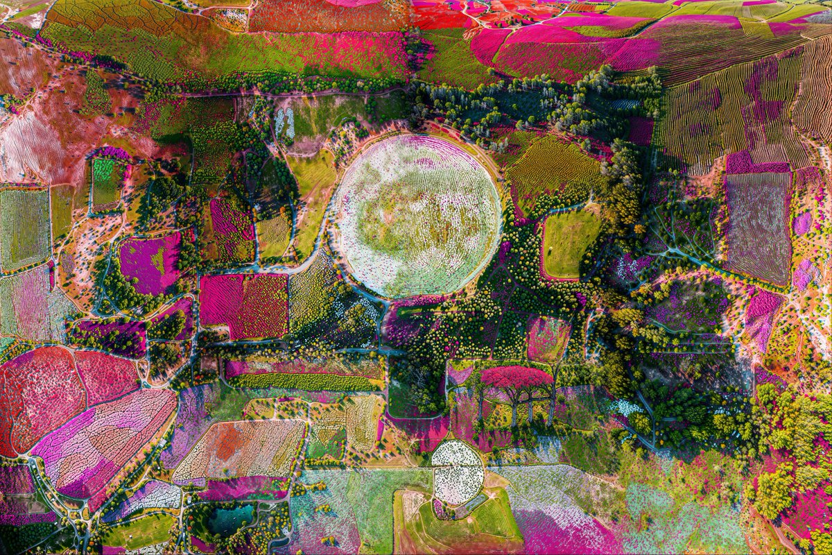 GM! 
Paris Photo — Artist Feature
KATIE MORRIS
Somnium (2025)

Excited to present a completely new series by Katie Morris, making its premiere at Paris Photo. Landscapes reimagined through the subconscious, where memory and imagination redefine the real.

Unique print, Archival