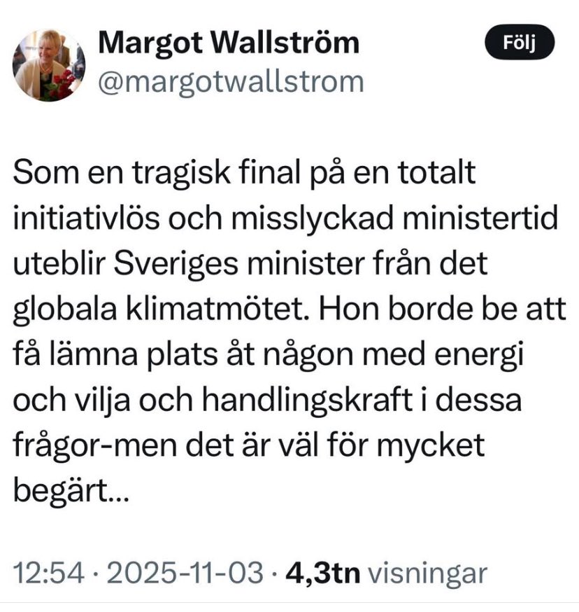 Gud, vad skönt att den här sopan är pensionerad. Hon som gav alla pengarna hon kunde till Hamas. Som finansierat massakern.