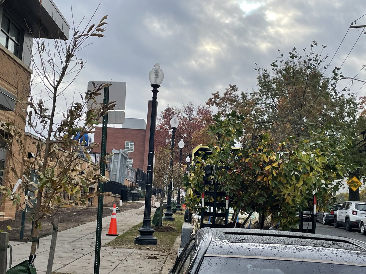 A lot of new and replaced trees at Barry Farm Rec center /Sumner Rd SE this morning. Looks better already! Thanks <a href="/DDOTDC/">DDOT DC</a>