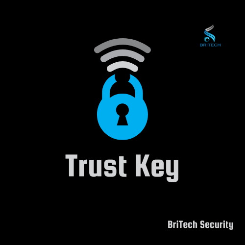 BriTech Security tweet media