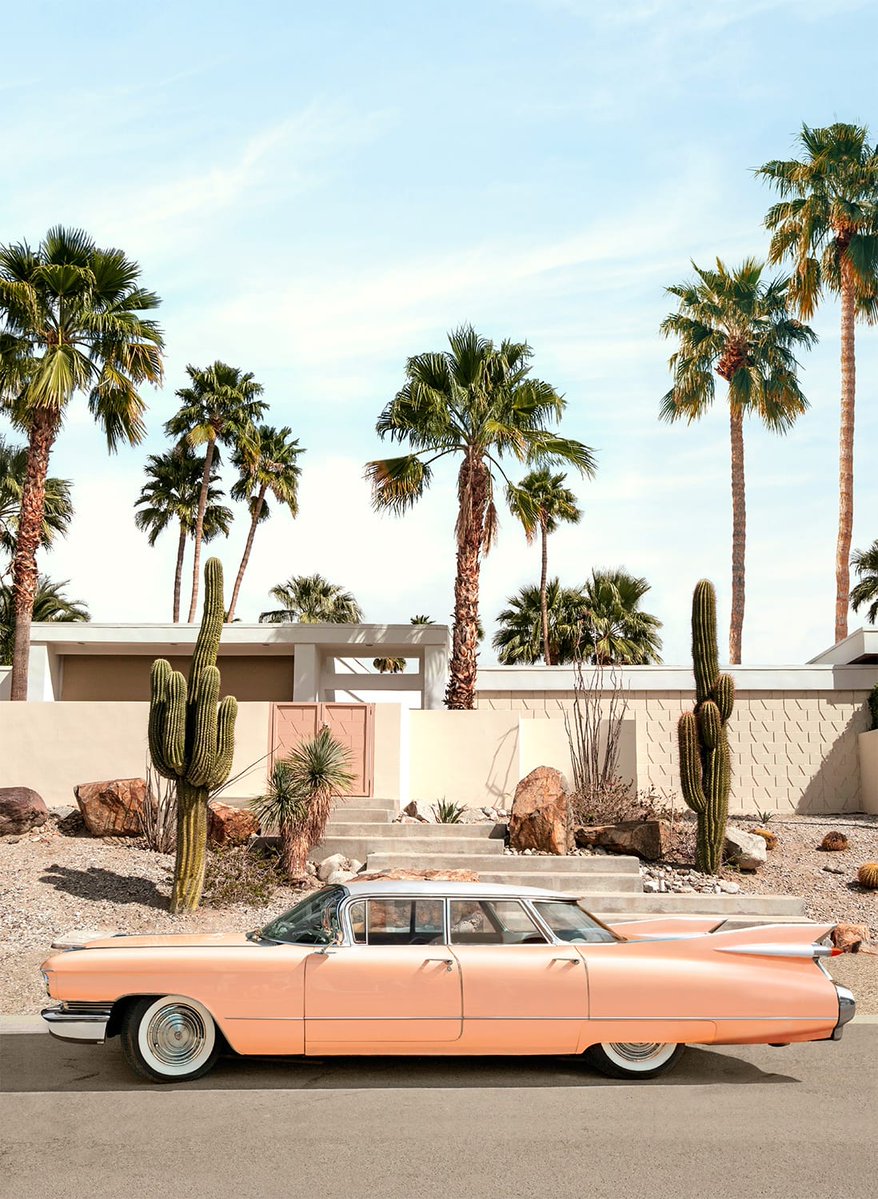 This is my whole ideology now.