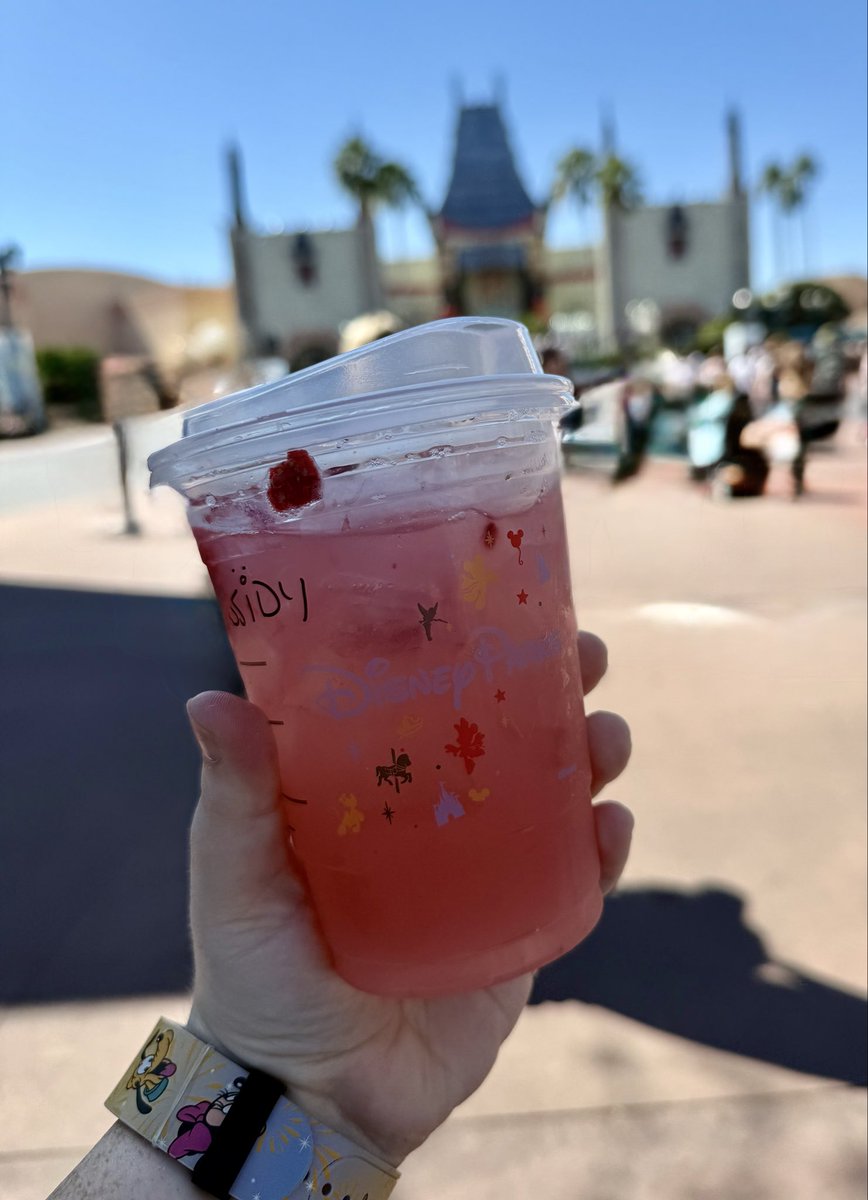 You already know what it is!!
So good I had to hit rewind and do it all over again. ✨🏰✨