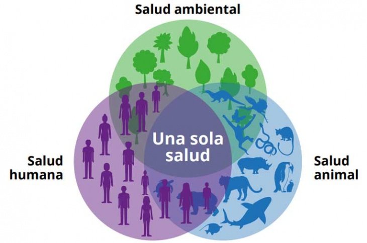 🌎 Día Mundial de "Una sola salud". Un concepto con  una mirada holística, colaborativa, multisectorial y transdisciplinaria, para enfrentar situaciones como las que el cambio climático y la pérdida de biodiversidad, la salud humana, animal y medioambiental.