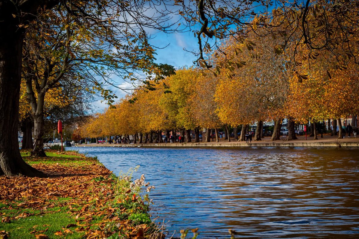 The road to work is beautiful this time of year 🍂🍁🖤