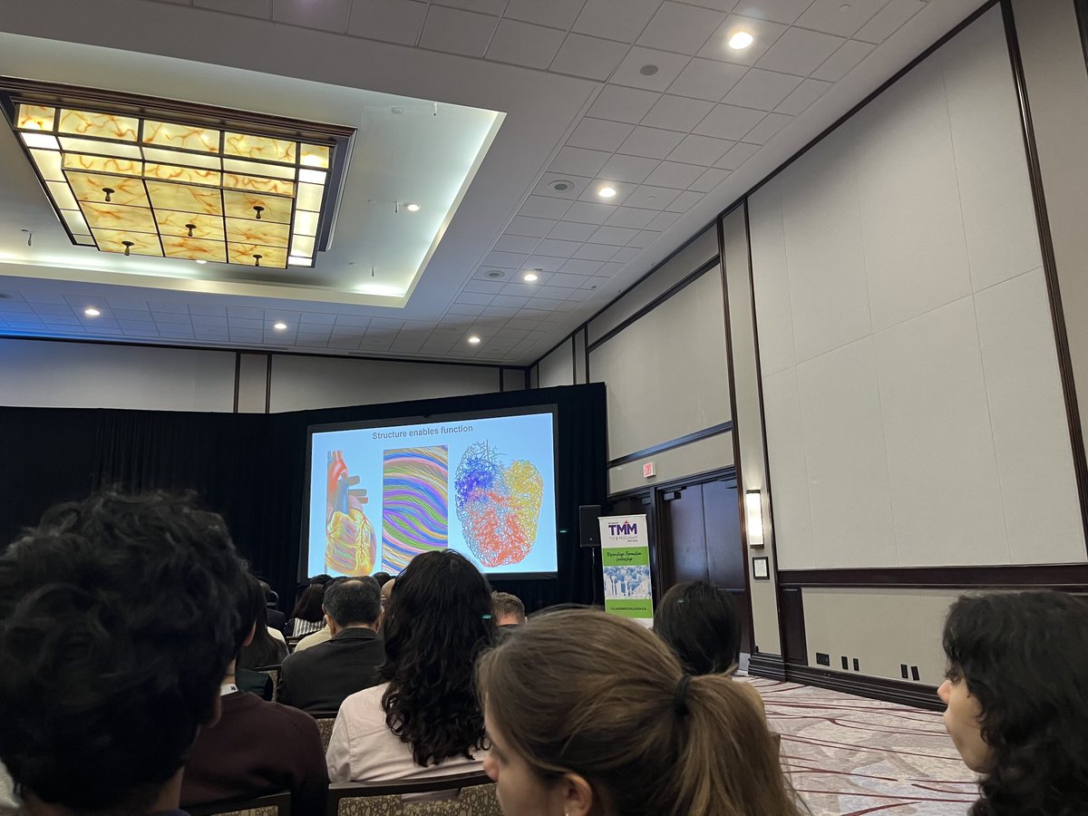 DrWillerth's tweet image. Scenes from #TMM2025  ⁦@StemCellNetwork⁩